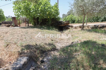 Quinta T1 para Venda em Louriçal do Campo