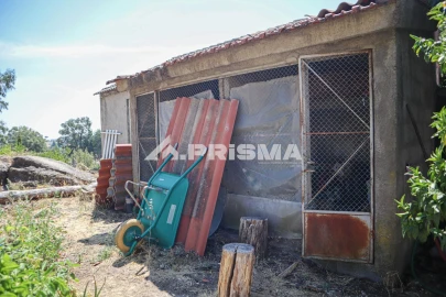 Quinta T1 para Venda em Louriçal do Campo