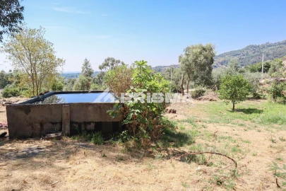 Quinta T1 para Venda em Louriçal do Campo
