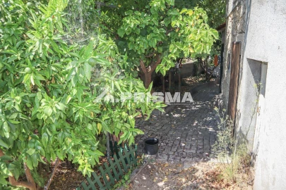 Quinta T1 para Venda em Louriçal do Campo