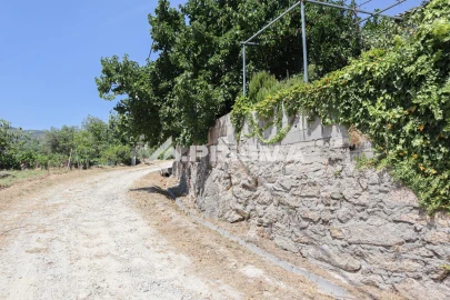 Quinta T1 para Venda em Louriçal do Campo