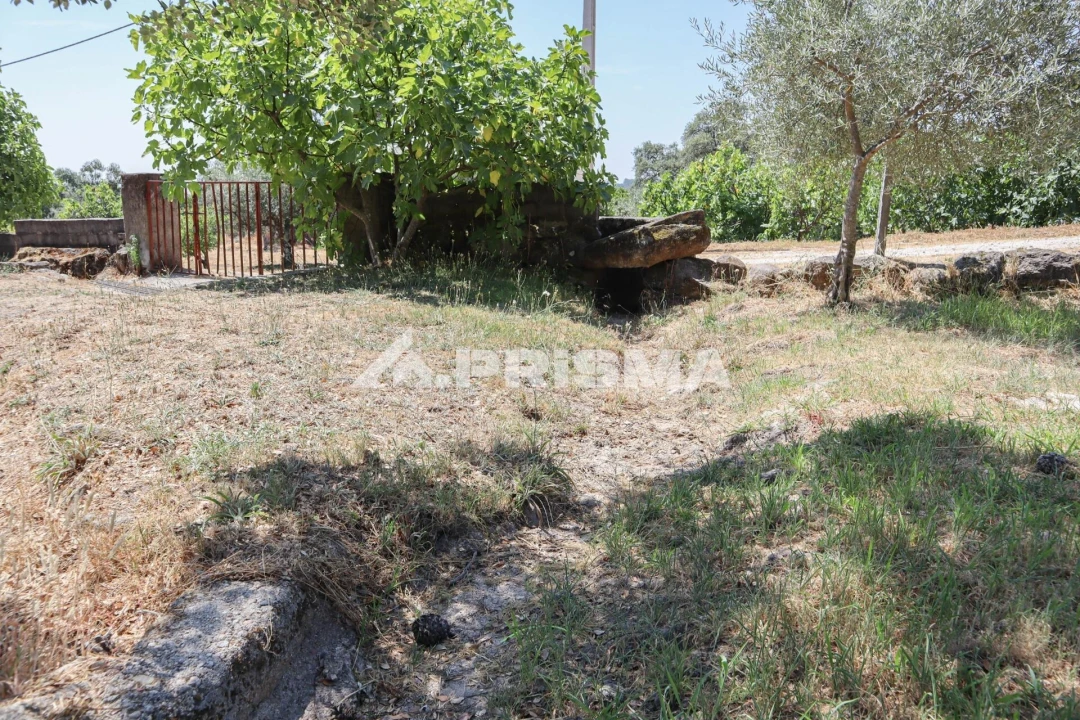 Quinta T1 para Venda em Louriçal do Campo Foto 51