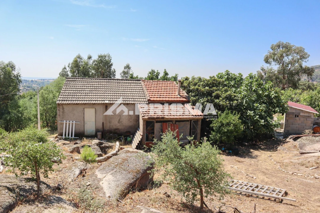 Quinta T1 para Venda em Louriçal do Campo Foto 17