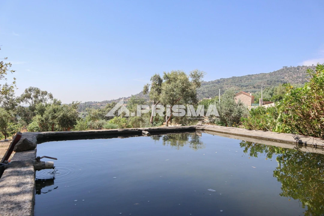 Quinta T1 para Venda em Louriçal do Campo Foto 3