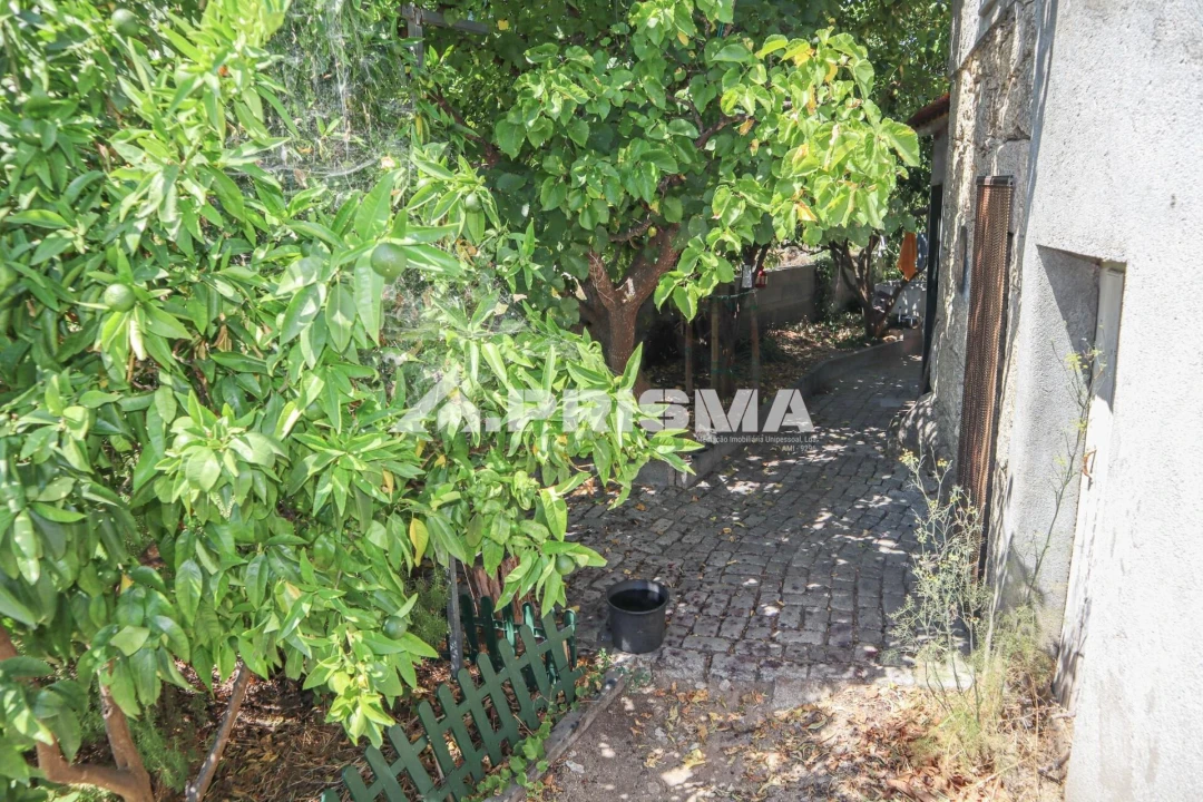 Quinta T1 para Venda em Louriçal do Campo Foto 32