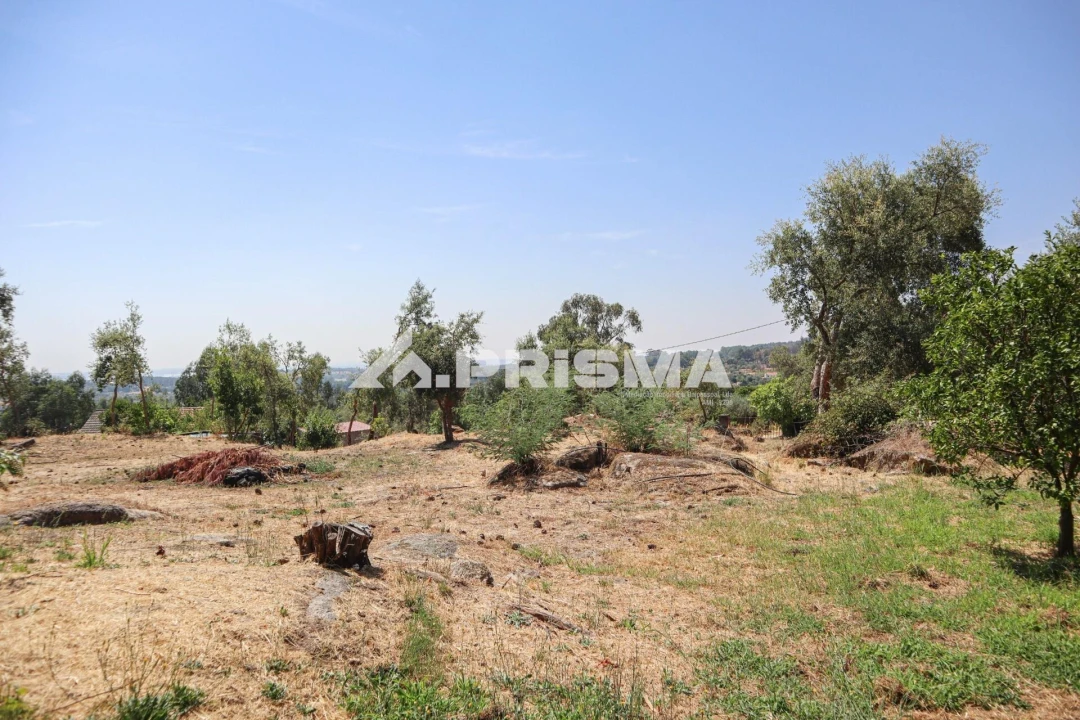 Quinta T1 para Venda em Louriçal do Campo Foto 24