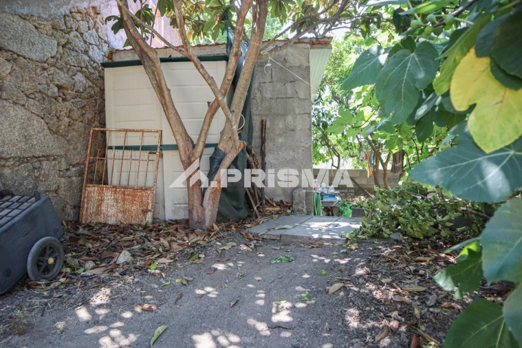 Quinta T1 para Venda em Louriçal do Campo Foto 43