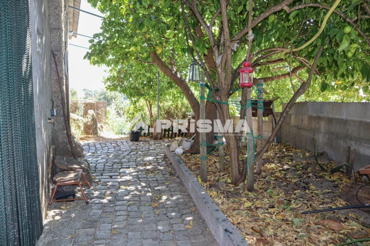 Quinta T1 para Venda em Louriçal do Campo Foto 4