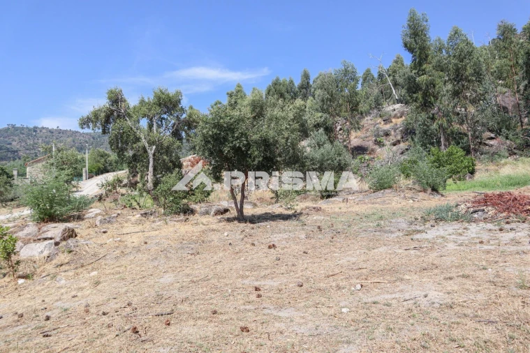 Quinta T1 para Venda em Louriçal do Campo Foto 23