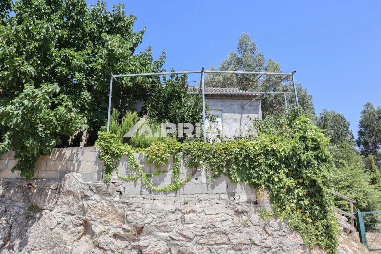 Quinta T1 para Venda em Louriçal do Campo Foto 26