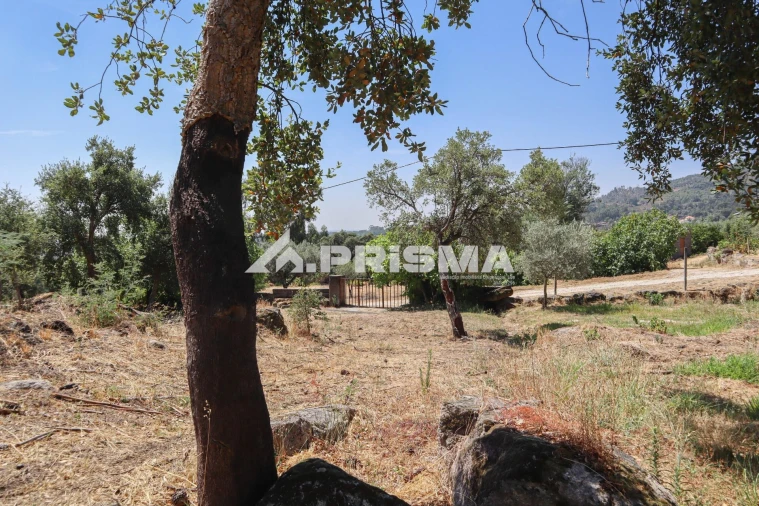 Quinta T1 para Venda em Louriçal do Campo Foto 25