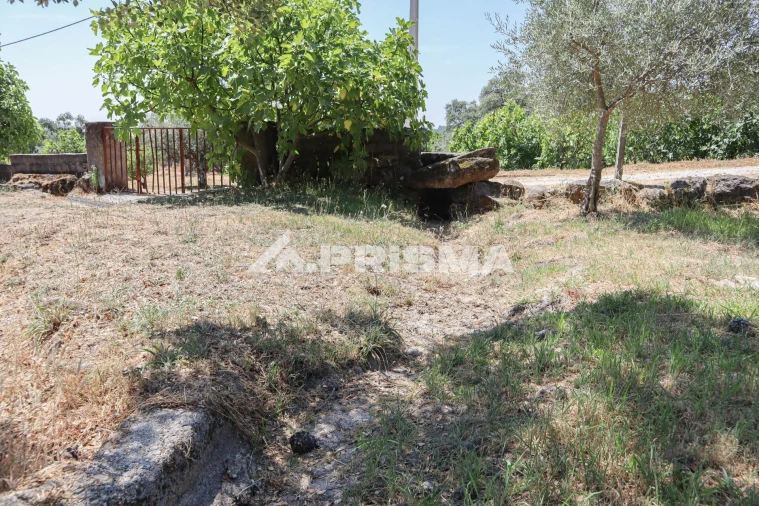 Quinta T1 para Venda em Louriçal do Campo Foto 51
