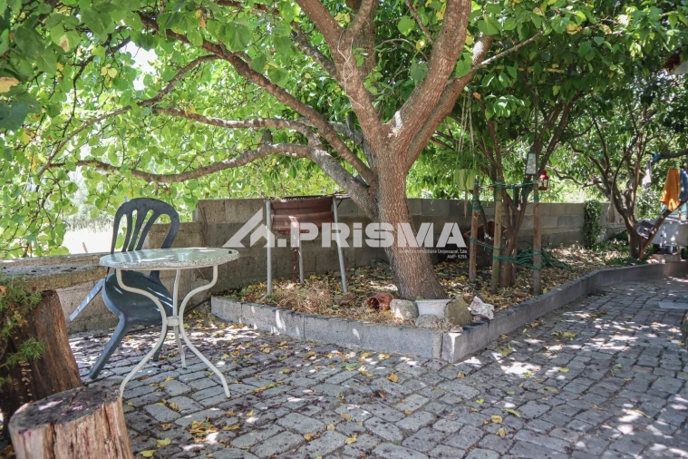 Quinta T1 para Venda em Louriçal do Campo Foto 18