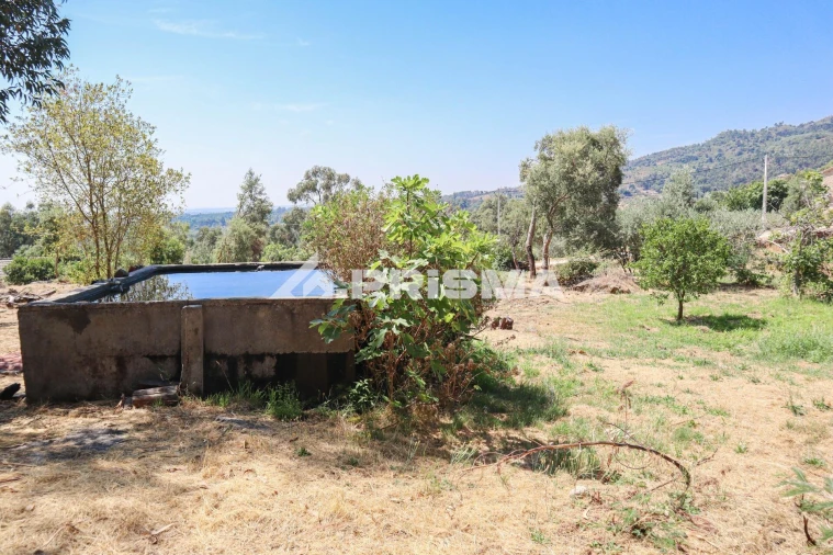 Quinta T1 para Venda em Louriçal do Campo Foto 49