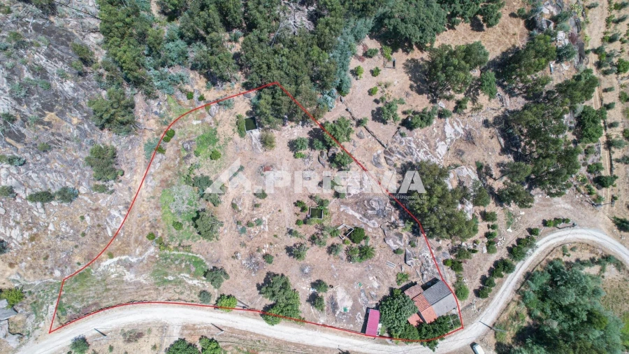 Quinta T1 para Venda em Louriçal do Campo Foto 36