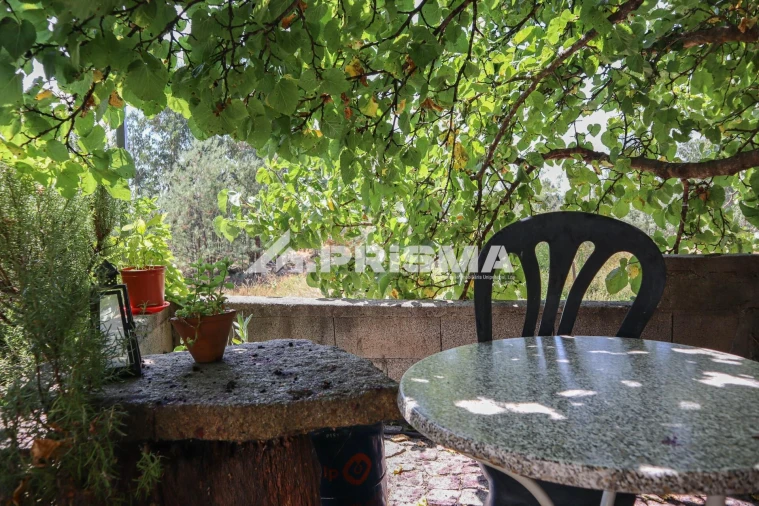 Quinta T1 para Venda em Louriçal do Campo Foto 2