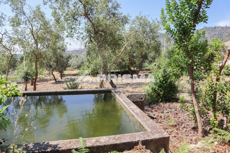 Quinta T1 para Venda em Louriçal do Campo Foto 12
