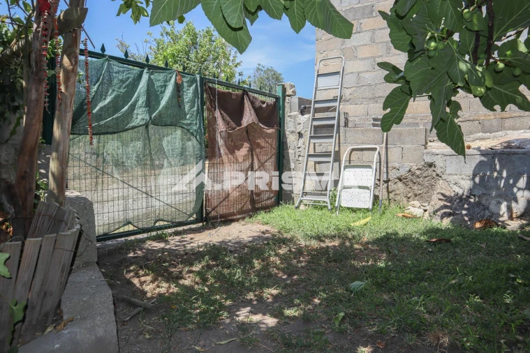 Quinta T1 para Venda em Louriçal do Campo Foto 19