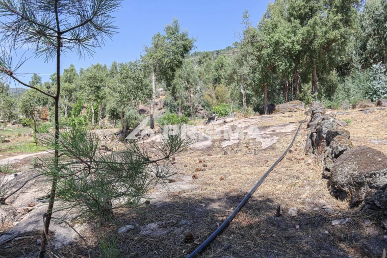 Quinta T1 para Venda em Louriçal do Campo Foto 15
