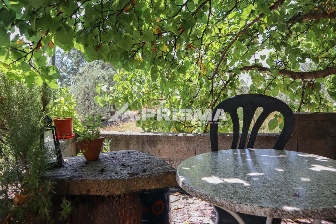 Quinta T1 para Venda em Louriçal do Campo Foto 2