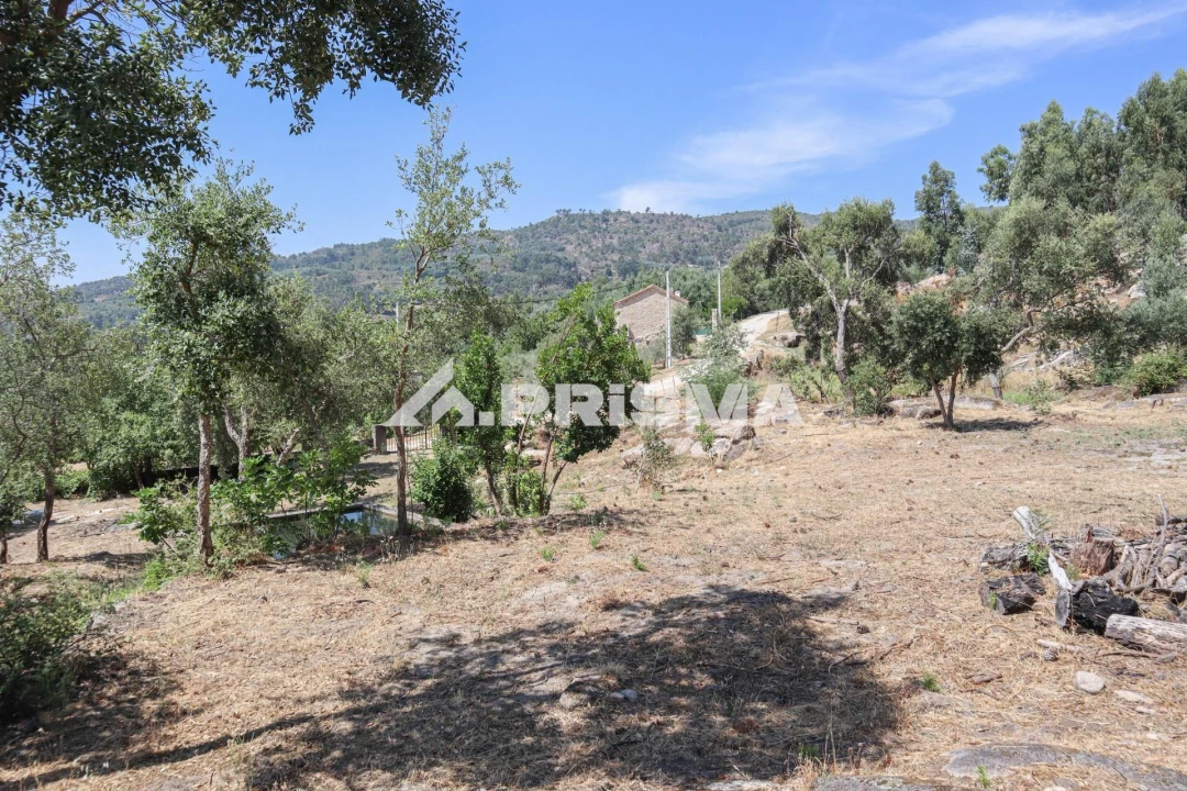 Quinta T1 para Venda em Louriçal do Campo Foto 34