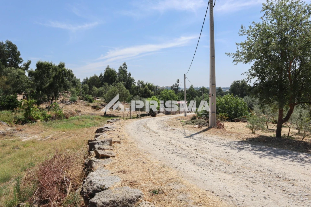 Quinta T1 para Venda em Louriçal do Campo Foto 13