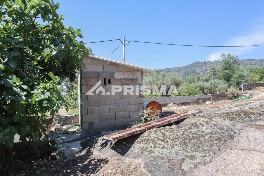 Quinta T1 para Venda em Louriçal do Campo Foto 42