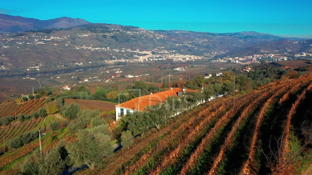 Quinta T7 para Venda em Cambres Foto 3