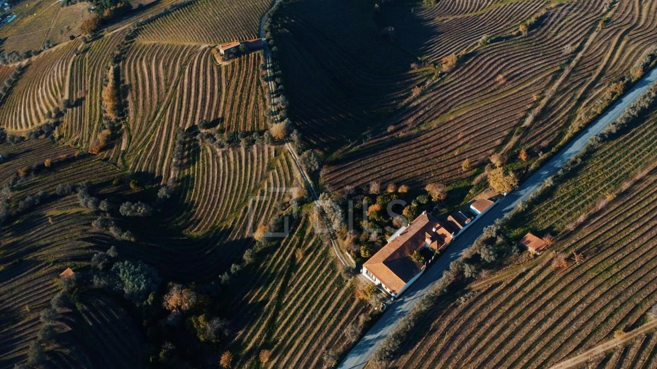 Quinta T7 para Venda em Cambres Foto 21