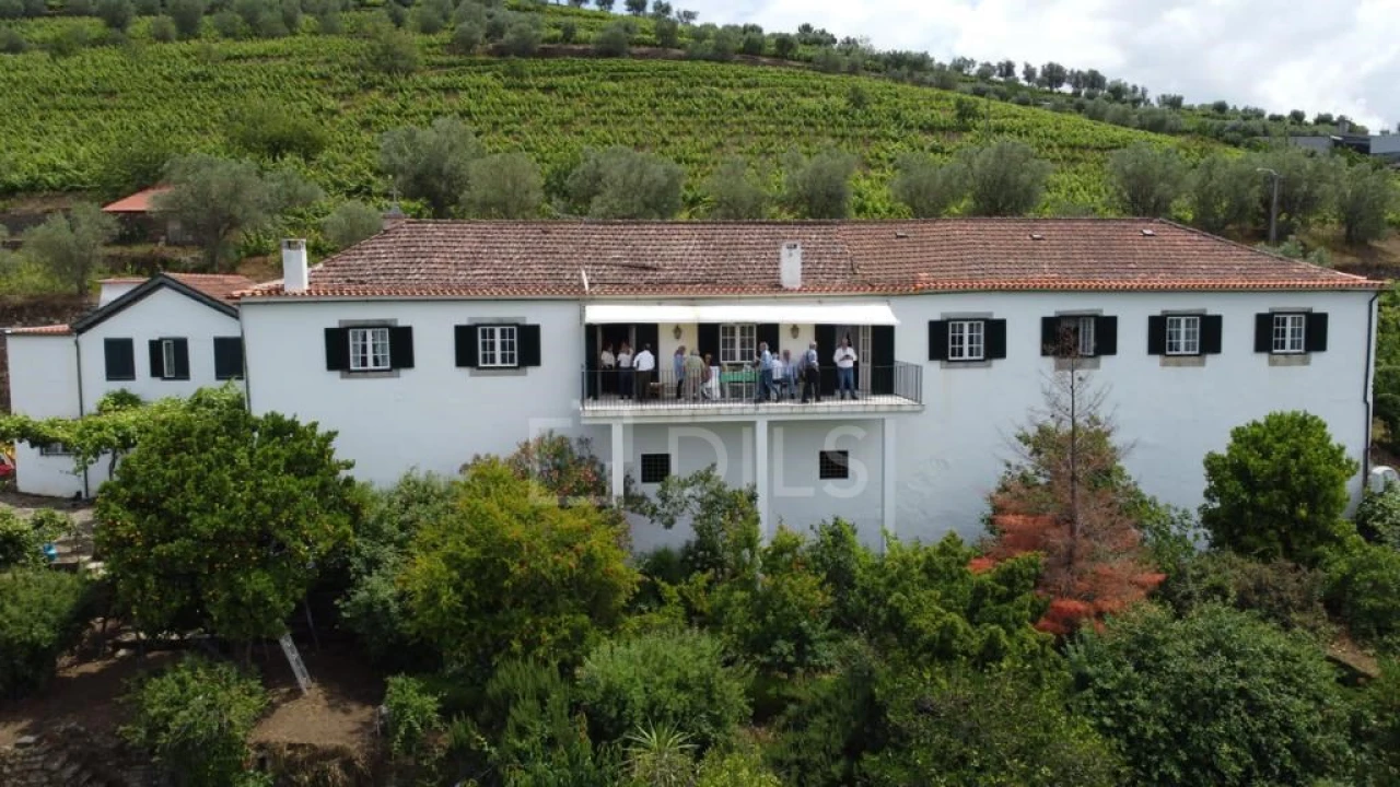 Quinta T7 para Venda em Cambres Foto 23