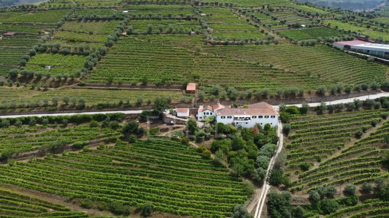 Quinta T7 para Venda em Cambres Foto 29