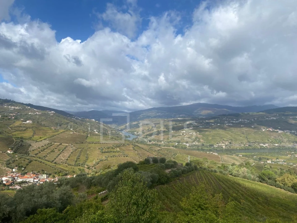 Quinta T7 para Venda em Cambres Foto 41