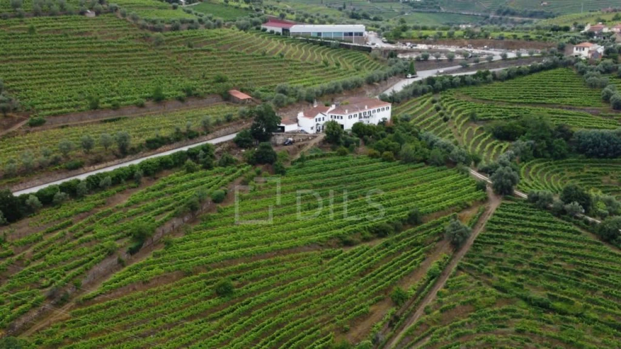 Quinta T7 para Venda em Cambres Foto 49
