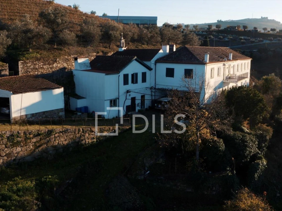 Quinta T7 para Venda em Cambres Foto 4