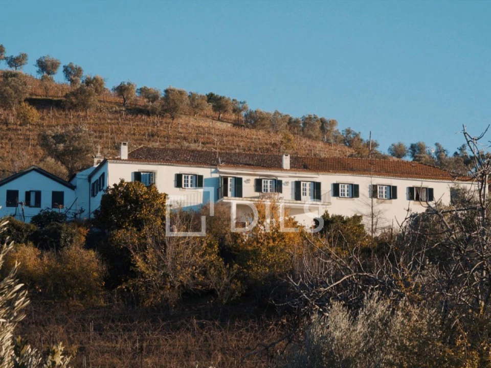 Quinta T7 para Venda em Cambres Foto 6