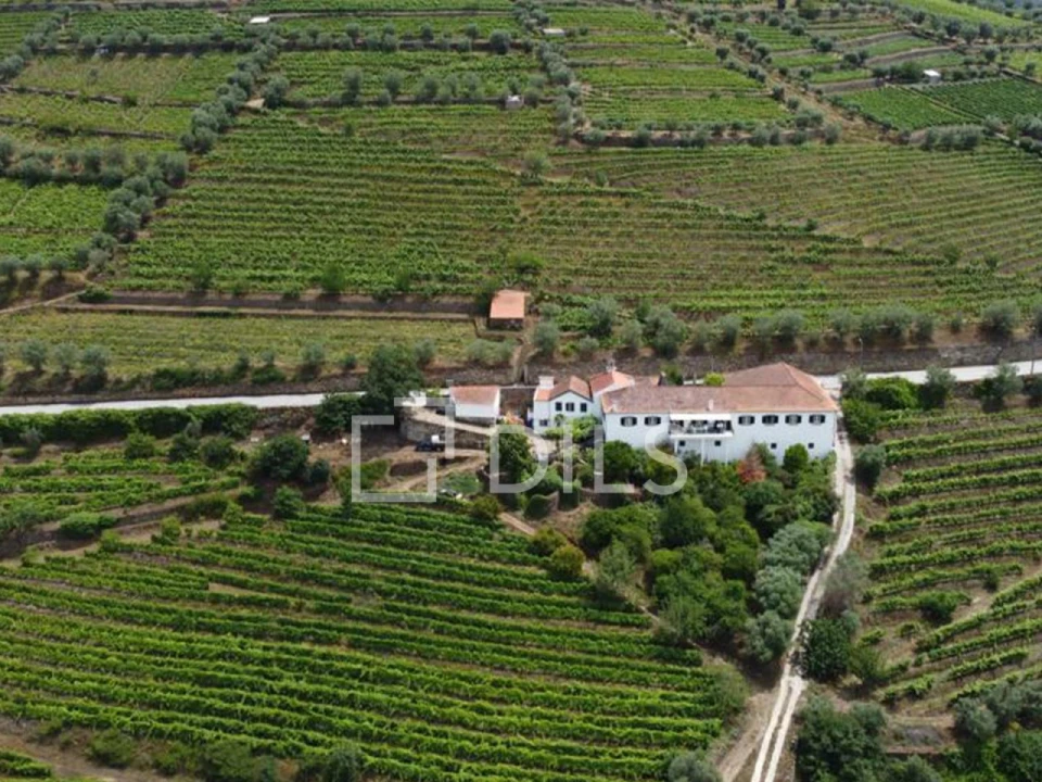 Quinta T7 para Venda em Cambres Foto 8