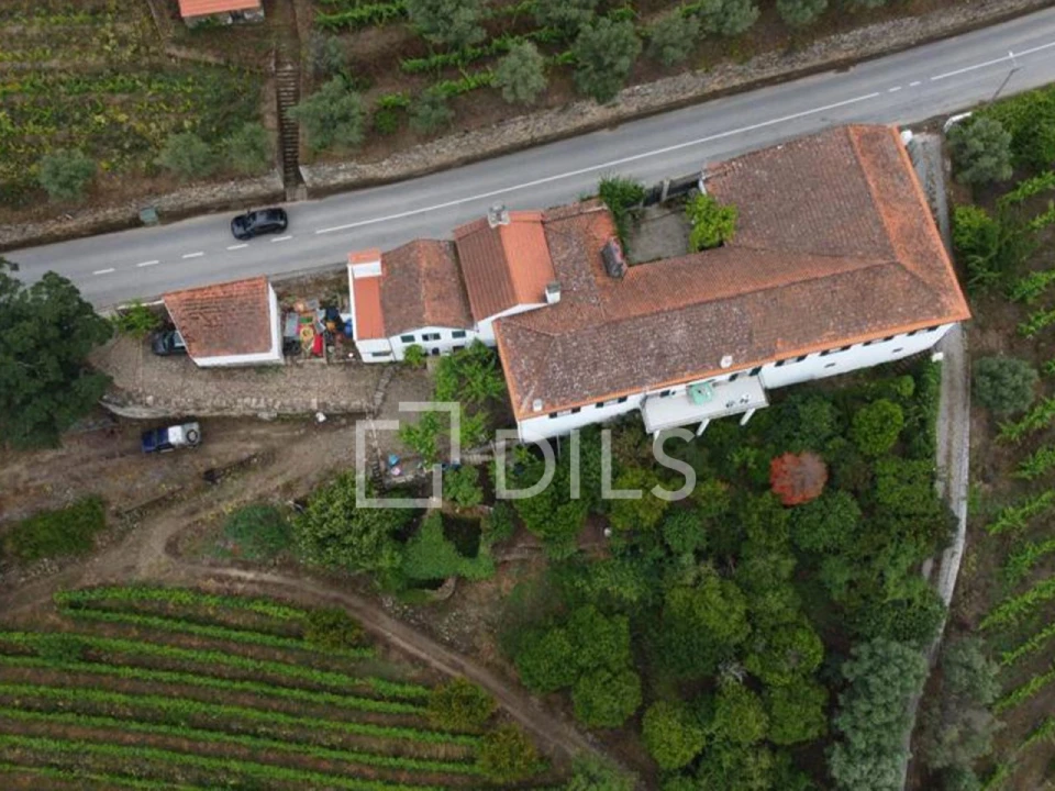 Quinta T7 para Venda em Cambres Foto 28