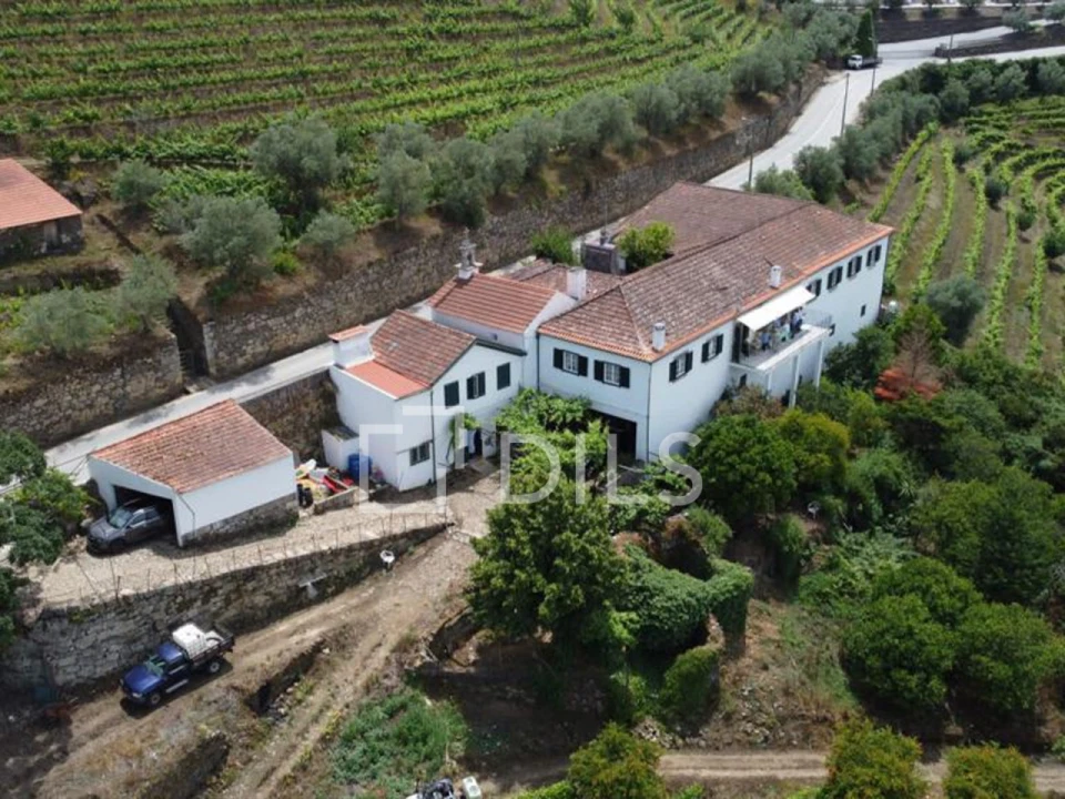 Quinta T7 para Venda em Cambres Foto 30