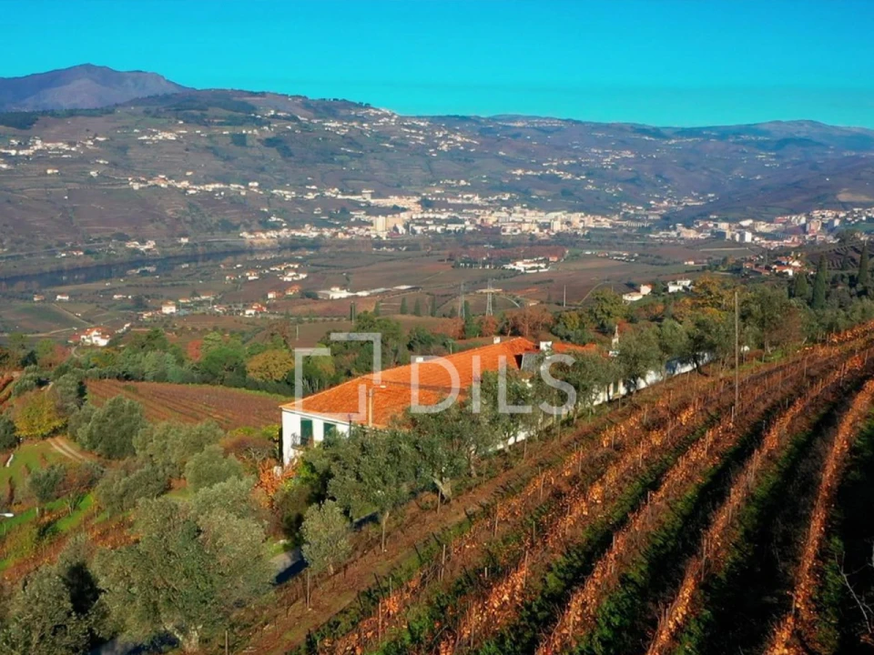 Quinta T7 para Venda em Cambres Foto 40