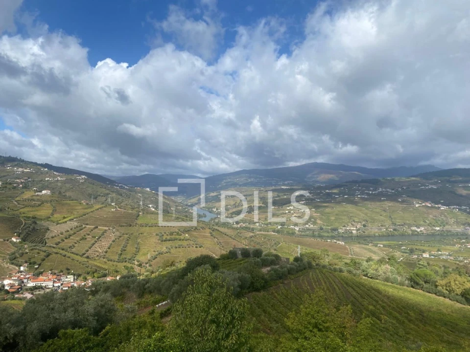 Quinta T7 para Venda em Cambres Foto 44