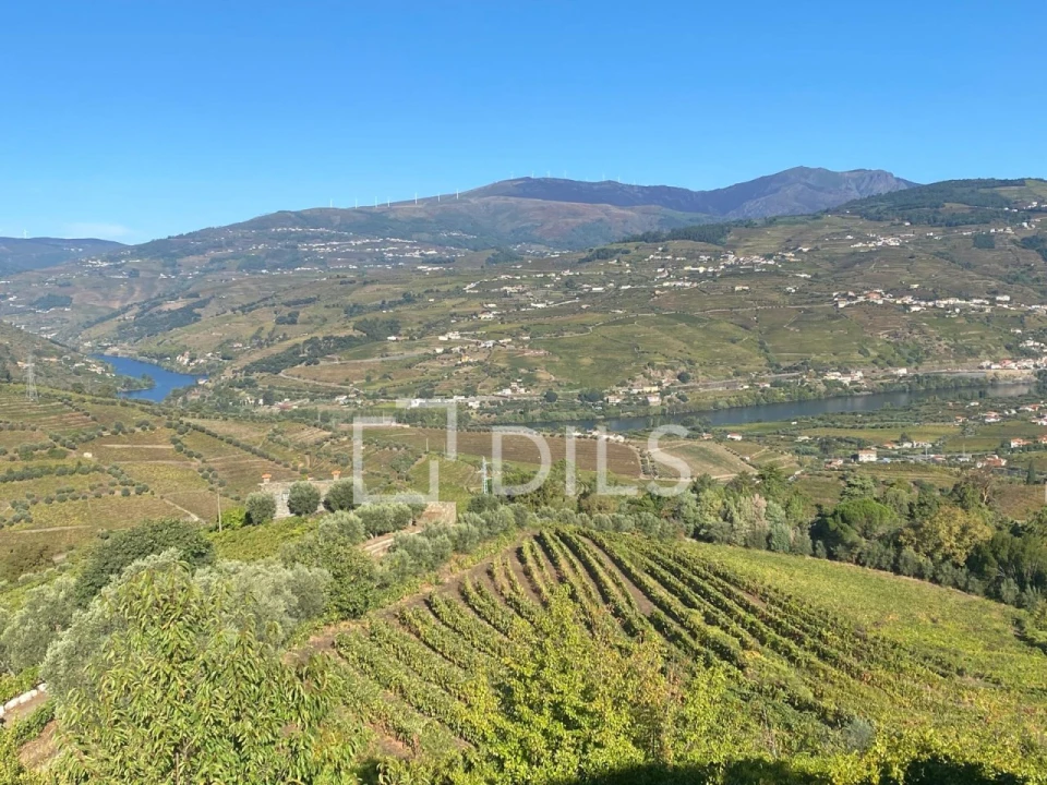 Quinta T7 para Venda em Cambres Foto 46