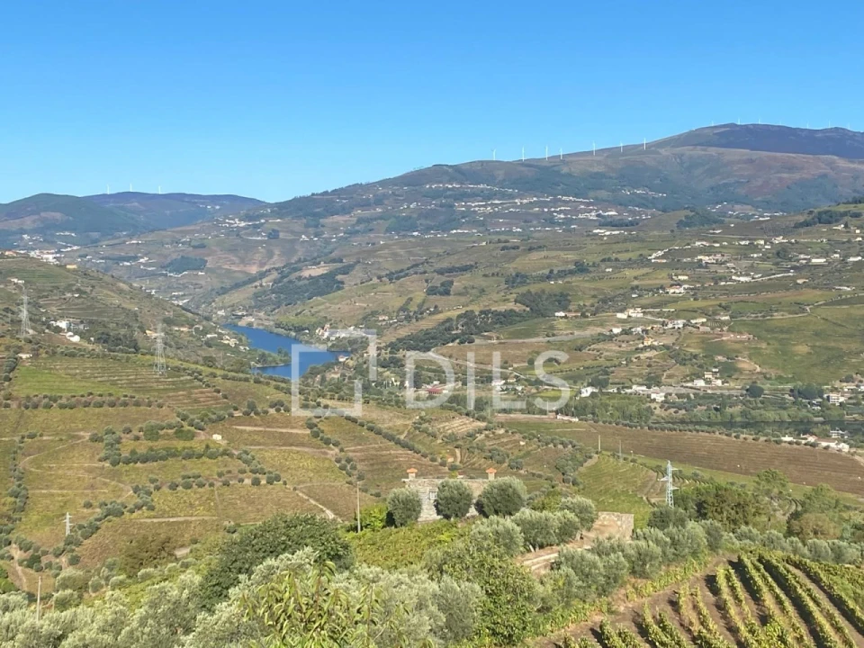 Quinta T7 para Venda em Cambres Foto 48