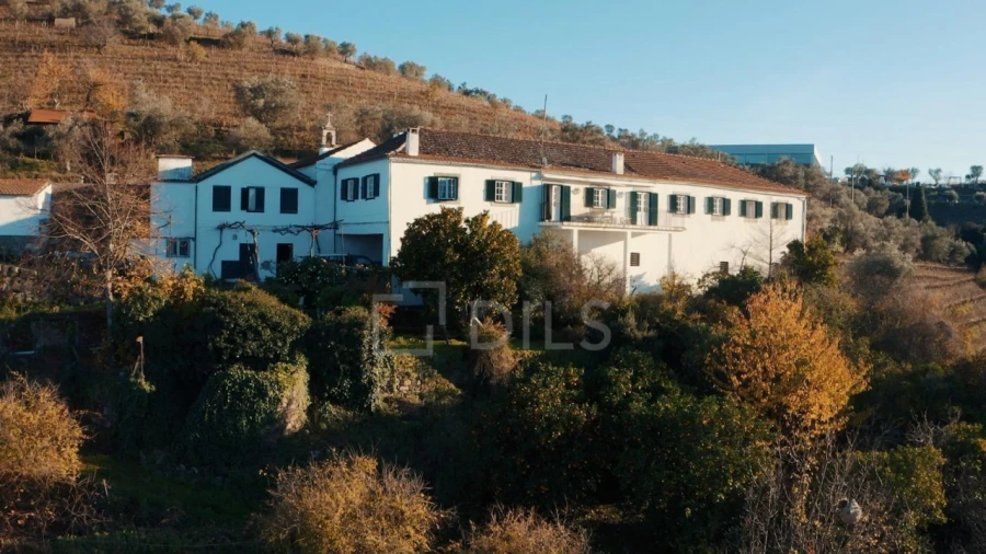 Quinta T7 para Venda em Cambres Foto 1