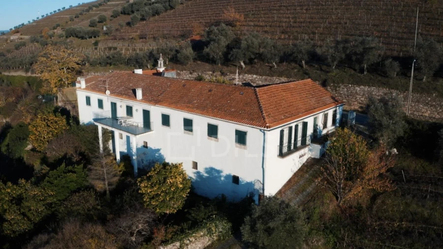 Quinta T7 para Venda em Cambres Foto 5