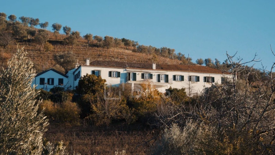 Quinta T7 para Venda em Cambres Foto 7