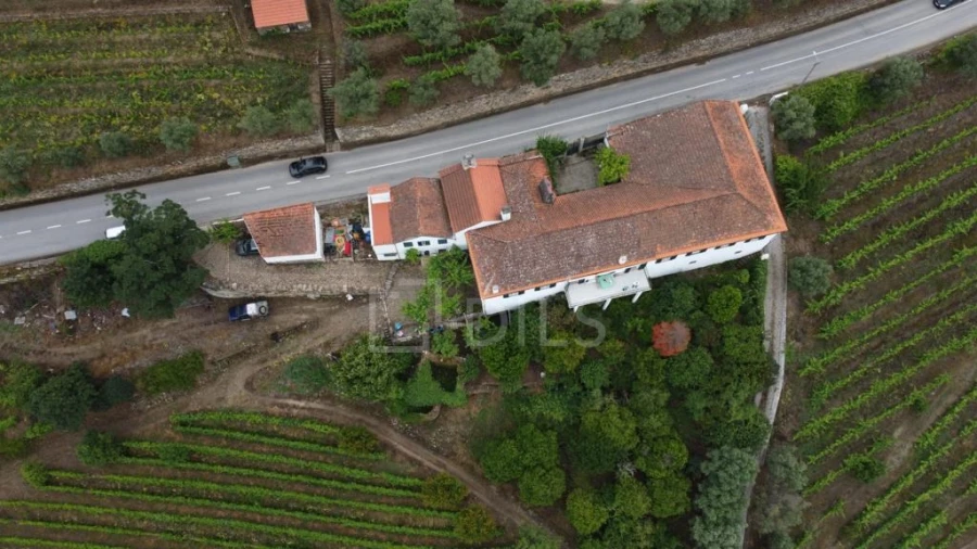 Quinta T7 para Venda em Cambres Foto 9