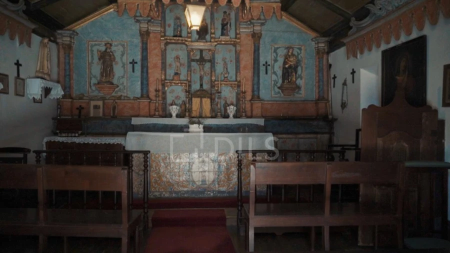 Quinta T7 para Venda em Cambres Foto 15