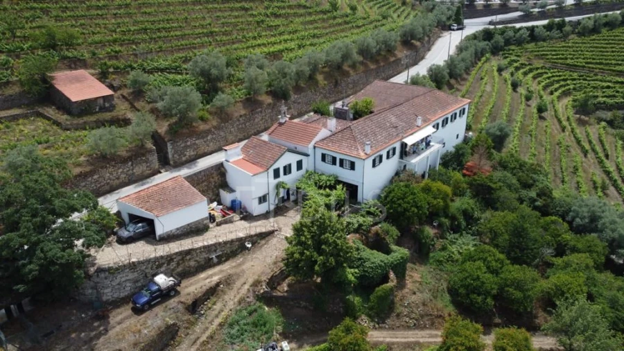 Quinta T7 para Venda em Cambres Foto 25