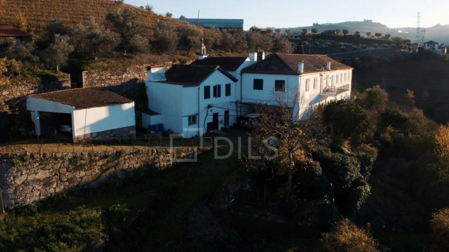 Quinta T7 para Venda em Cambres Foto 31