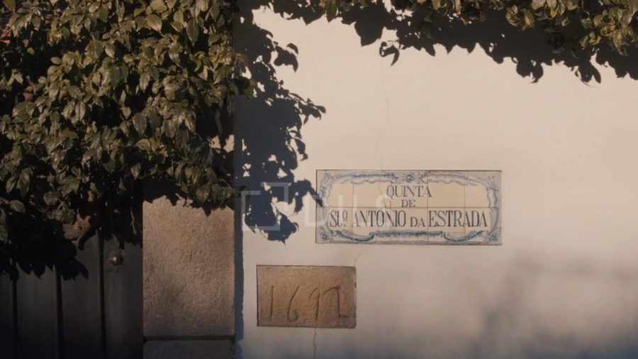 Quinta T7 para Venda em Cambres Foto 37